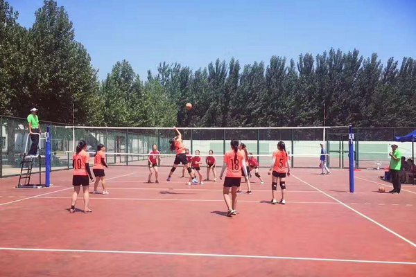 云南省运会男子篮球甲组冠军_云南省篮球运动员_云南省男子篮球队