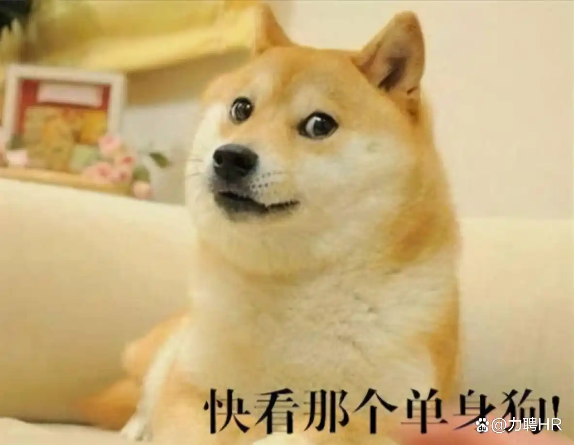 39岁单身的生活方式_单身生活是什么意思_单身生活是怎样的