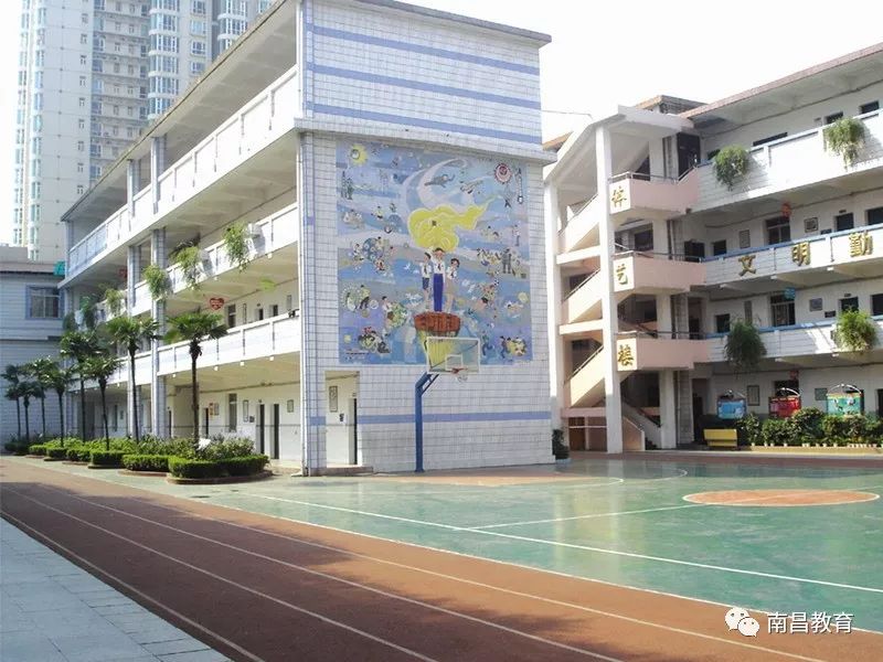 幼儿篮球冠军操_幼儿篮球操舞蹈视频大全_幼儿获奖篮球操视频