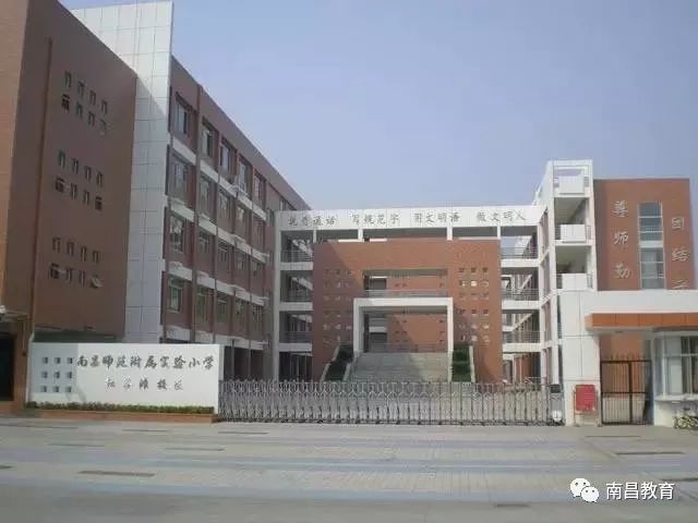 幼儿获奖篮球操视频_幼儿篮球冠军操_幼儿篮球操舞蹈视频大全